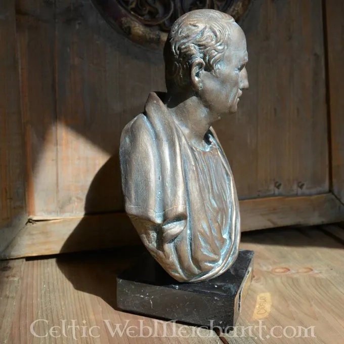Bronzed Bust Cicero - Image 6