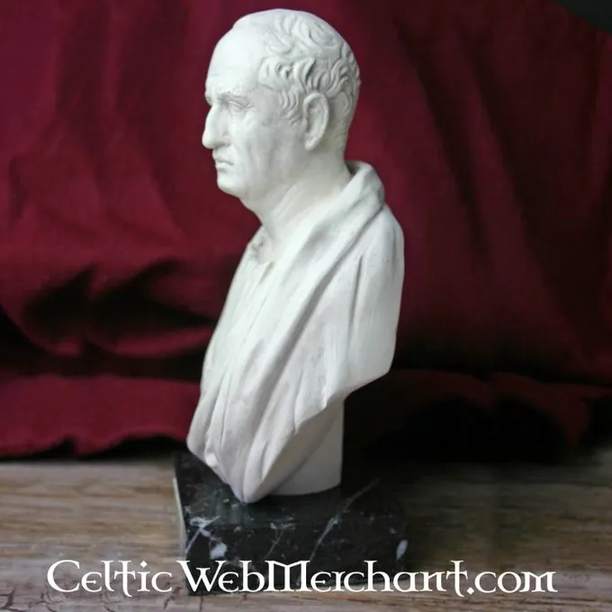 Bust Marcus Tullius Cicero - Image 2