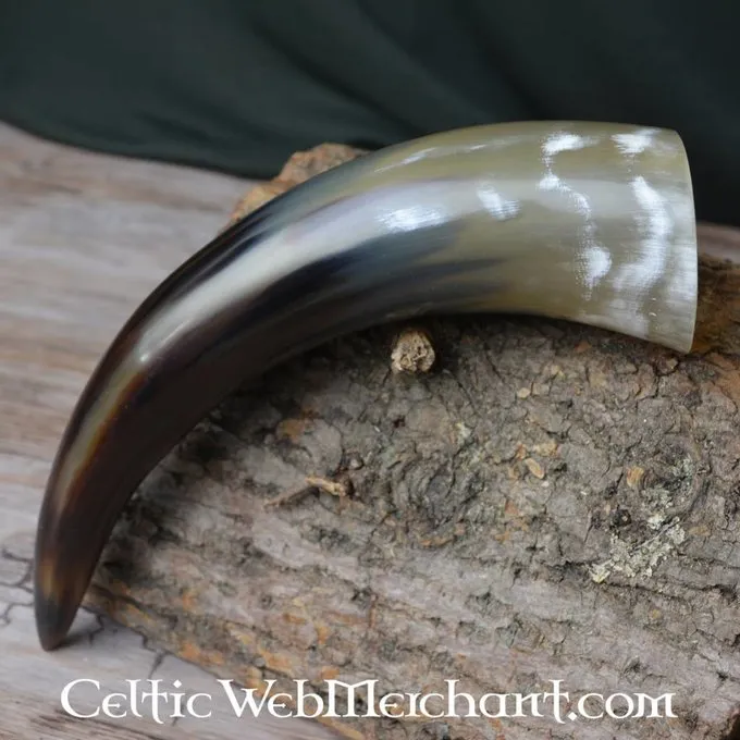 Drinking Horn, Several Sizes - Image 2