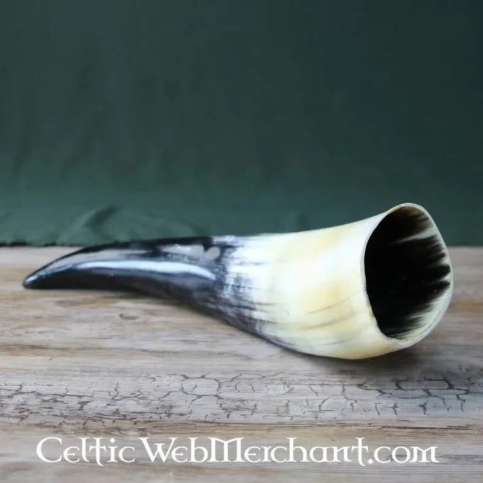 Drinking Horn, Several Sizes - Image 3
