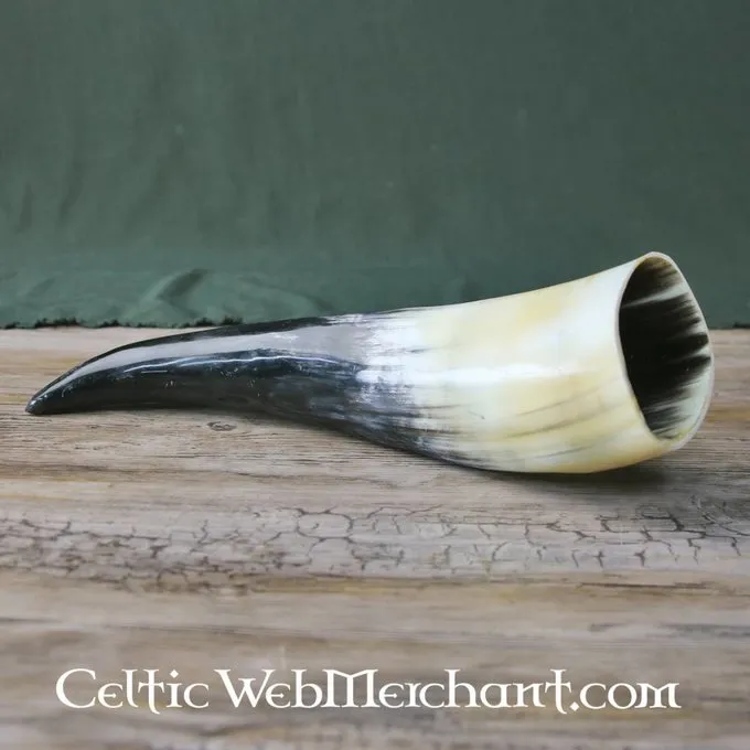 Drinking Horn, Several Sizes - Image 4
