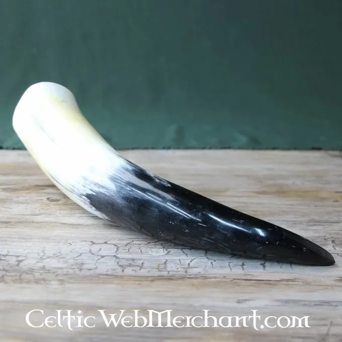 Drinking Horn, Several Sizes - Image 5