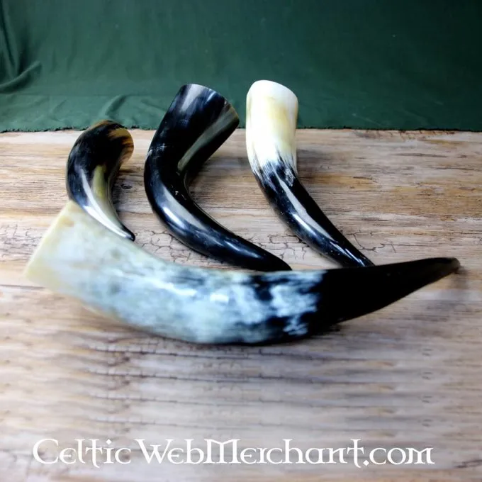 Drinking Horn, Several Sizes - Image 6