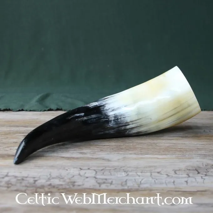 Drinking Horn, Several Sizes