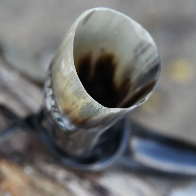Deepeeka Drinking Horn Vegvisir - Image 6