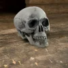 Epic Armoury Skull 21 Cm